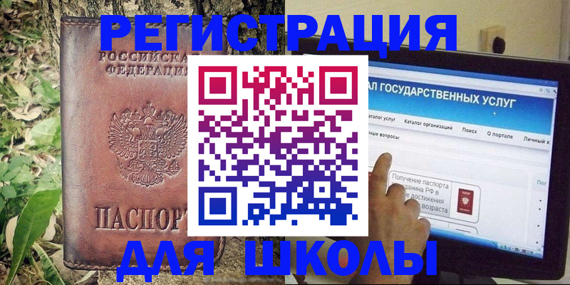 прописка для школы в Электрогорске